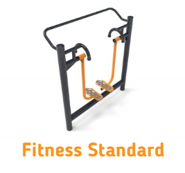 Fitness Standard